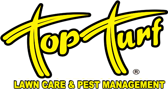 Top Turf logo